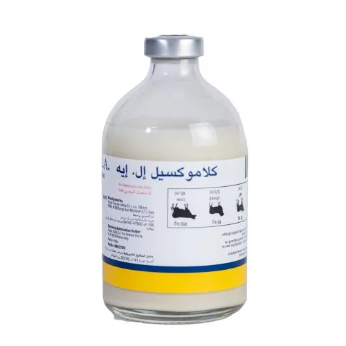 كلاموكسيل 100 مل